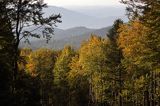 Widok na pasmo żuków z Jaworników, Bieszczady