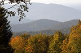 Widok na pasmo żuków z Jaworników, Bieszczady