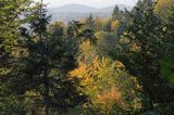 Widok na pasmo żuków z Jaworników, Bieszczady