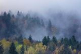 Bieszczady jesienne