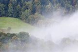 Na skaraju lasu we mgle, Bieszczady