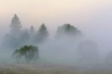 Łąka we mgle, Bieszczady