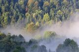 Las we mgle, Bieszczady