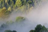 Las we mgle, Bieszczady