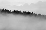 Las we mgle, Bieszczady