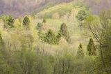 Bieszczady, Dolina Sanu, Park Krajobrazowy Doliny Sanu,Tworylne