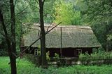 Biskupin chata, muzeum archeologiczne, skansen