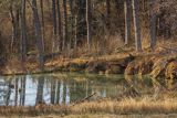 Uroczysko śródleśne, jeziorko bobrowe, Góry Sanocko-Turczanskie