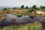 w rezerwacie Slotslyngen, zachodnie wybrzeże Bornholmu koło Vang, Dania