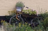 rower - kwietnik w Svaneke, Bornholm, Dania