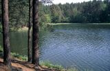 Bory Tucholskie Jezioro Żur Wdecki Park Krajobrazowy