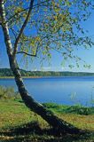 Jezioro Charzykowskie, Bory Tucholskie