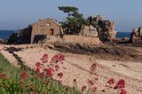 plaża, wyspa Brehat, Ille de Brehat, Bretania, Francja