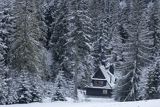 Brzanówka, Zazadnia, Tatry