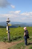 na szlaku na Bukowym Berdzie, Bieszczady