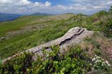 Bukowe Berdo, Bieszczady