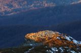 Bukowe Berdo, Bieszczady