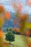 Bystre, jesień, kontrasty, szrony, barwy, Bieszczady