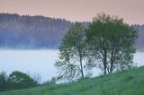 Bystre, mgły o wschodzie słońca, Bieszczady