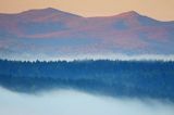 Bystre, mgły o wschodzie słońca, Bieszczady