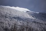 Połonina Caryńska, widok spod Rawek