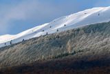 Połonina Caryńska, widok z Wołosatego, Bieszczady