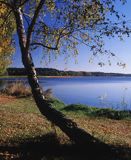 Jezioro Charzykowskie Kaszuby, Zaborski Park Krajobrazowy