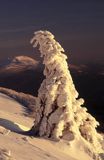 Na połoninie Caryńskiej Bieszczady