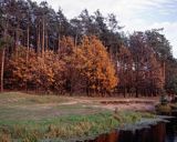 Chojnowski Park Krajobrazowy, rezerwat Skarpa Oborska