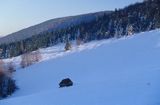 Czantoria Wielka, Beskid Śląski