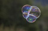 Mydlana bańka, 3 Bieszczadzki Festiwal Sztuk w Czarnej, Bieszczady