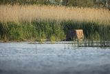 Pływająca czatownia, ponton