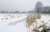 Biebrzański Park Narodowy Rezerwat Czerwone Bagno,