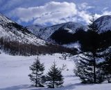 Dolina Jaworzynka, Tatry