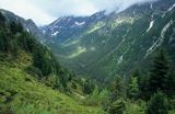 Dolina Roztoki, Tatry