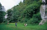 rez. Dolina Mnikowska, Tenczyński Park Krajobrazowy