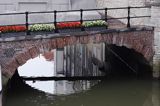 Dordrecht, odbicia domów w kanale, Holandia