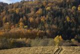 Jesień pod Otrytem, Bieszczady