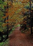 Gorczański Park Narodowy, Droga w Gorcach