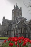 Christ Church, Katedra Kościoła Chrystusowego, Dublin, Irlandia