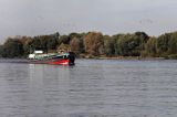 barki na rzece, rzeka Łaba, Elbe, Dolna Saksonia, Niemcy