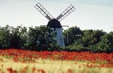 Farosund na Gotlandii, Gotland