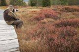 fotograf przyrody, torfowisko Tarnawa, Bieszczady