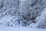 Zima, fotograf przyrody w stroju maskującym
