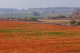 Garb Lubawski, Mazury