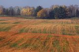 Garb Lubawski, Mazury