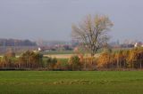 Garb Lubawski, Mazury