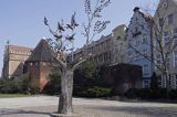 Gdańsk, pomnik Drzewo Millenium Gdańska na Targu Węglowym