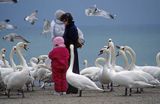 Gdynia karmienie ptaków na plaży