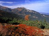 Tatry Hala Kondratowa i Giewont. Widok z Myślenickich Turni